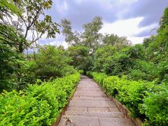 -求水山公园