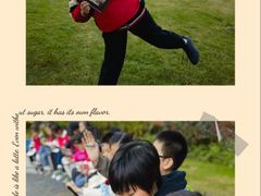 -尚想绘·艺术中考·中考咨询