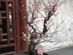 -豫园