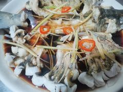 -煲来饱去冷水鱼