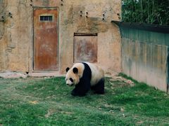 -上海野生动物园