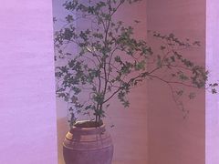 -舒小悦·舒养SPA·古法推拿(光环中心店)