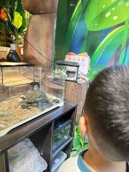 -酷嗒动物文化乐园(cutezoo西溪乐天城店)