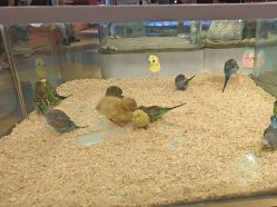 -meland亲子乐园•派对•研学(苏州悠方购物中心店)