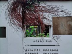 -鼓浪屿内厝澳码头(轮渡站)
