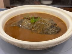 -丁老爷子苏香圆