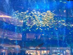 -成都浩海立方海洋公园