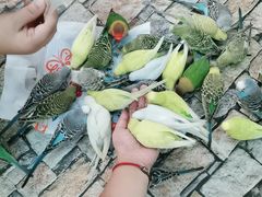 -上海大自然野生昆虫馆
