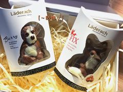 -Laderach 莱德拉(上海环贸iapm店)