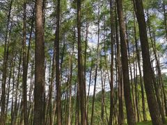 -硗碛藏寨·神木垒景区