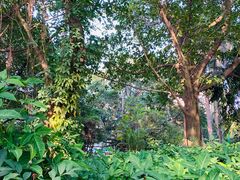 -北海市海滨公园