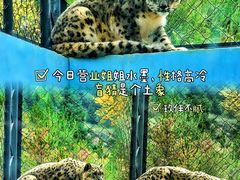 -青藏高原野生动物园