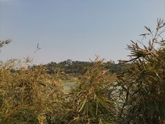 -广东花都湖国家湿地公园