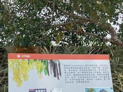 -中国科学院西双版纳热带植物园