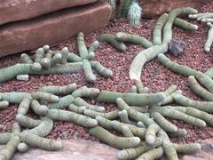 -南通洲际绿博园