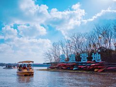 -上海海湾国家森林公园