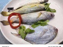 -杨记海鲜楼(三门黑金冠店)