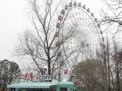-洋湖国家湿地公园