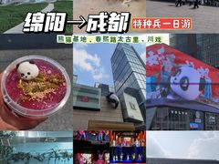 -成都大熊猫繁育研究基地
