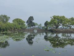 -无锡蠡湖国家湿地公园-蠡园