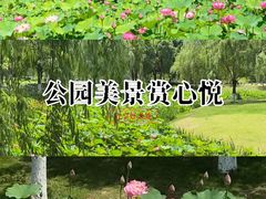 -沐仙湖湿地公园
