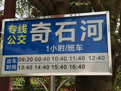 -四会奇石河风景区