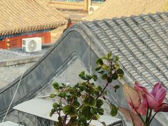 -糖房咖啡(南锣鼓巷店)