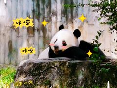 -广州动物园