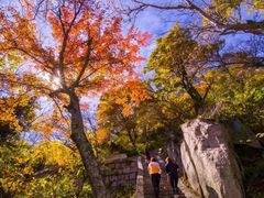 -尧山风景区