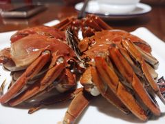 -呼吸森林·生态农庄农家乐私房菜