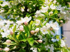 -苏州卫生职业技术学院(石湖校区)