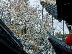 -龙华寺