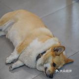 阿木舂记/胃游云南