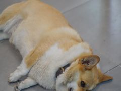 -阿木舂记·特色小吃(平江路店)