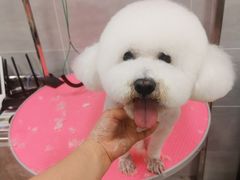 -宠福鑫康馨动物医院·骨科·眼科
