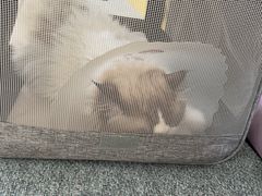 -美联众合动物医院·24h京西诊疗中心