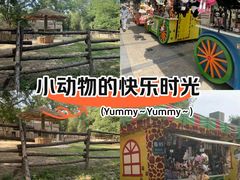 -北京动物园