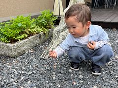 -源香农宝·亲子采摘·钓虾·科普研学