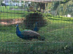 -云南滇池花园国际大酒店温泉