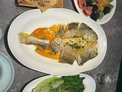 -1937青岛老味道·海肠捞饭·青岛菜(大鲍岛栈桥店)