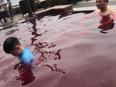 -天目湖涵田半山温泉