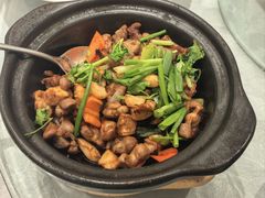 -朱记乳鸽王·非遗石岐乳鸽·全鸽宴(大兴旗舰店)