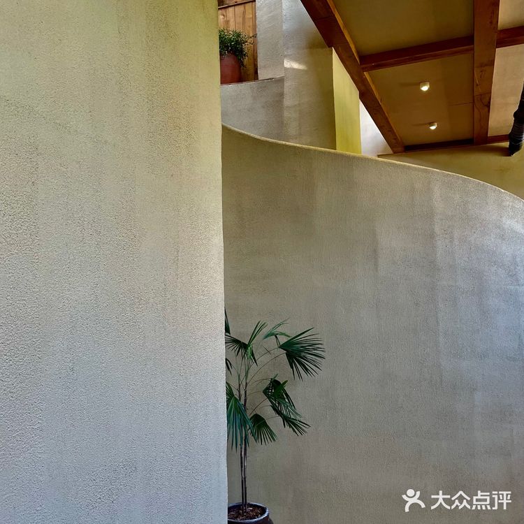 远近出品｜从未失望