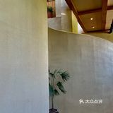 远近出品｜从未失望