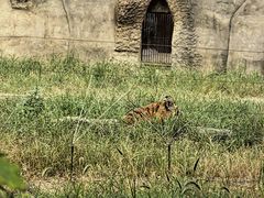 -秦皇岛野生动物园