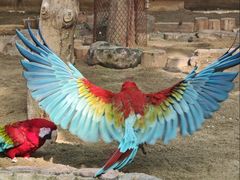 -大连森林动物园