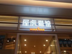 -屋虎猫馆(宝安大仟里店)
