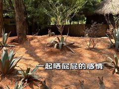 -云南野生动物园