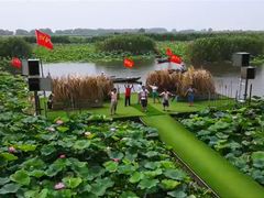 -洪湖生态旅游区