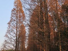 -同里国家湿地公园